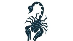 Komunikasi yang Jujur dalam Asmara Zodiak Scorpio