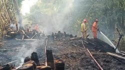Penindakan Terhadap Kebakaran Hutan: Polri Ungkap 89 Tersangka Perorangan Penindakan Terhadap Kebakaran Hutan: Polri Ungkap 89 Tersangka Perorangan