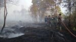 Percepatan Penanganan Karhutla di Riau dengan Hujan