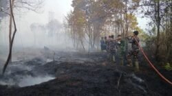 Percepatan Penanganan Karhutla di Riau dengan Hujan