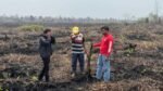 Penangkapan Pelaku Penanaman Sawit di Lahan Eks Kebakaran Hutan