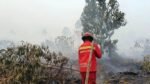 Meningkatnya Hotspot Kebakaran Hutan dan Lahan di Kalimantan Barat dan Tengah