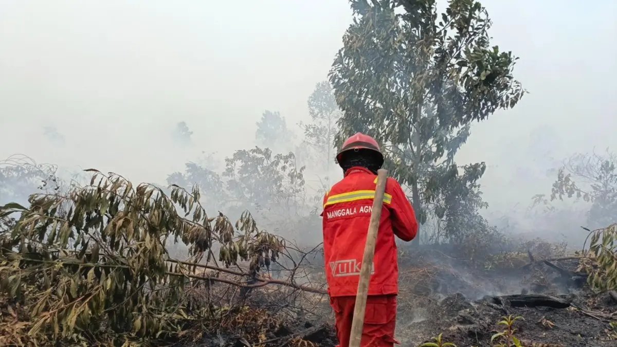 Meningkatnya Hotspot Kebakaran Hutan dan Lahan di Kalimantan Barat dan Tengah Meningkatnya Hotspot Kebakaran Hutan dan Lahan di Kalimantan Barat dan Tengah