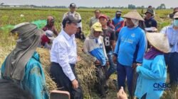 Bantuan Alsintan Bagi Buruh Tani di Karawang