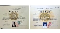 Fakta Menarik di Balik Font Times New Roman dalam Skripsi Joko Widodo