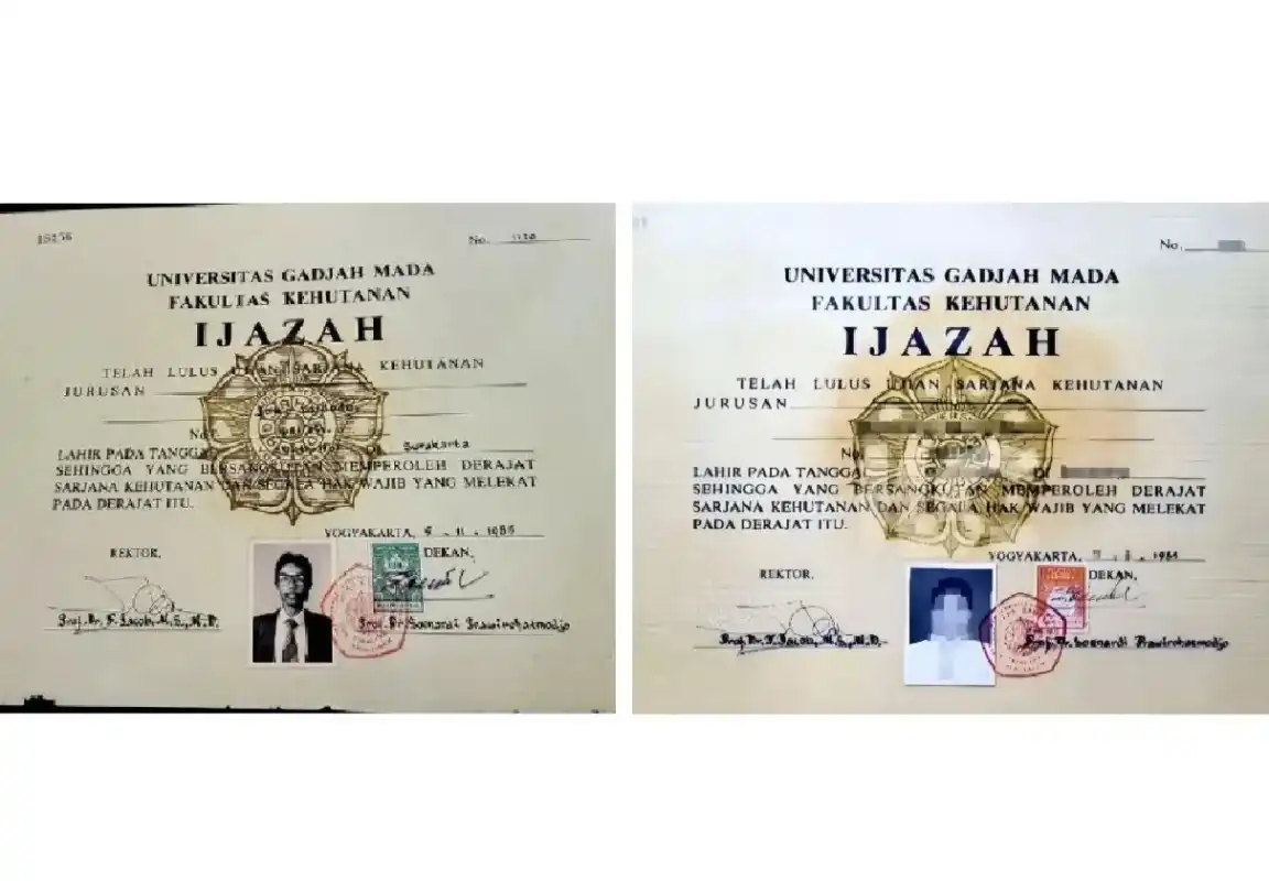 Fakta Menarik di Balik Font Times New Roman dalam Skripsi Joko Widodo