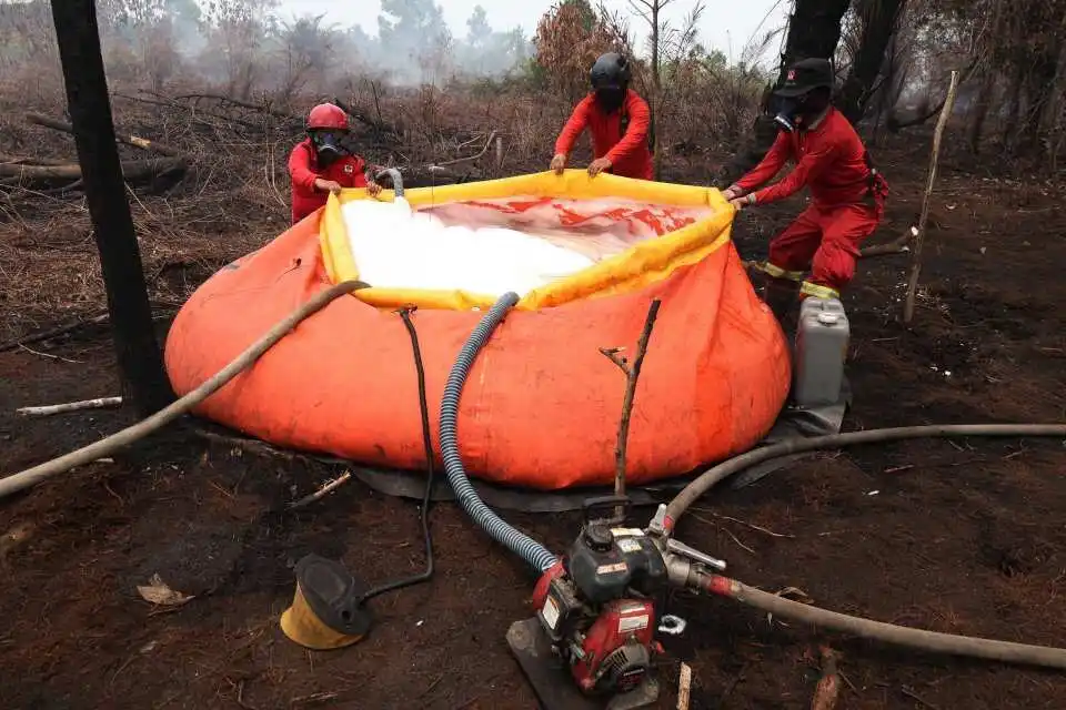 Dukungan Jepang dalam Pemadaman Kebakaran Hutan di Indonesia