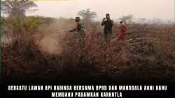 Bersatu Lawan Api Babinsa Bersama BPBD Dan Manggala Agni Bahu Membahu Padamkan Karhutla