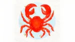 Ramalan Zodiak Cancer: Panduan Menghadapi Tantangan pada 28 Agustus 2026