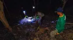 Aksi Sigap Babinsa Dan Warga Padamkan Kebakaran Hutan Jati Di Pagerwojo Blitar