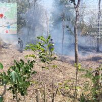 Respons Cepat Babinsa dan Warga Padamkan Kebakaran Lahan Di Tuwuhrejo Blitar
