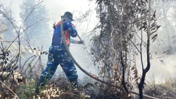 Jaga Gambut Tetap Aman, Satgas Darat Lanud Sjamsudin Noor Perkuat Pembasahan Berkelanjutan