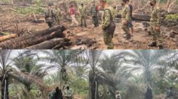 Turun Langsung ke Lapangan, Dalami Karhutla Mandor Jadi Sorotan Pasis Sesko TNI Angkatan LVI di Landak
