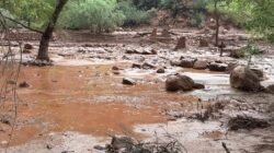 Banjir Bandang di Grand Canyon: Pencarian Terhadap 20 Orang yang Hilang
