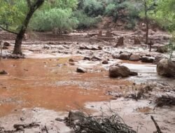 Banjir Bandang di Grand Canyon: Pencarian Terhadap 20 Orang yang Hilang