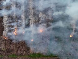 Langkah Strategis Penanganan Karhutla di Kalimantan dan Sumatra