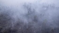 Dampak Asap Kebakaran Hutan Indonesia di Negara Tetangga Dampak Asap Kebakaran Hutan Indonesia di Negara Tetangga
