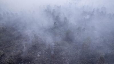 Dampak Asap Kebakaran Hutan Indonesia di Negara Tetangga Dampak Asap Kebakaran Hutan Indonesia di Negara Tetangga