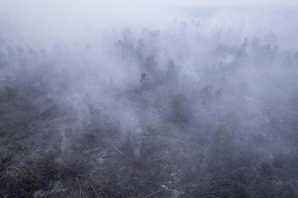 Dampak Asap Kebakaran Hutan Indonesia di Negara Tetangga