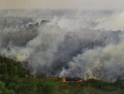 Penanganan Kebakaran Hutan di Ogan Komering Ilir: Prioritas BNPB