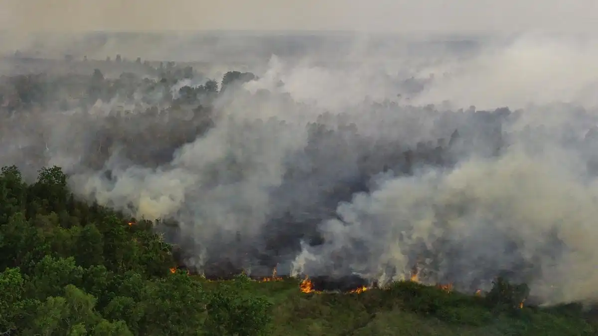 Penanganan Kebakaran Hutan di Ogan Komering Ilir: Prioritas BNPB