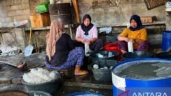 Perlindungan Ragi Tempe sebagai Aset Kedaulatan Biologis Indonesia Perlindungan Ragi Tempe sebagai Aset Kedaulatan Biologis Indonesia