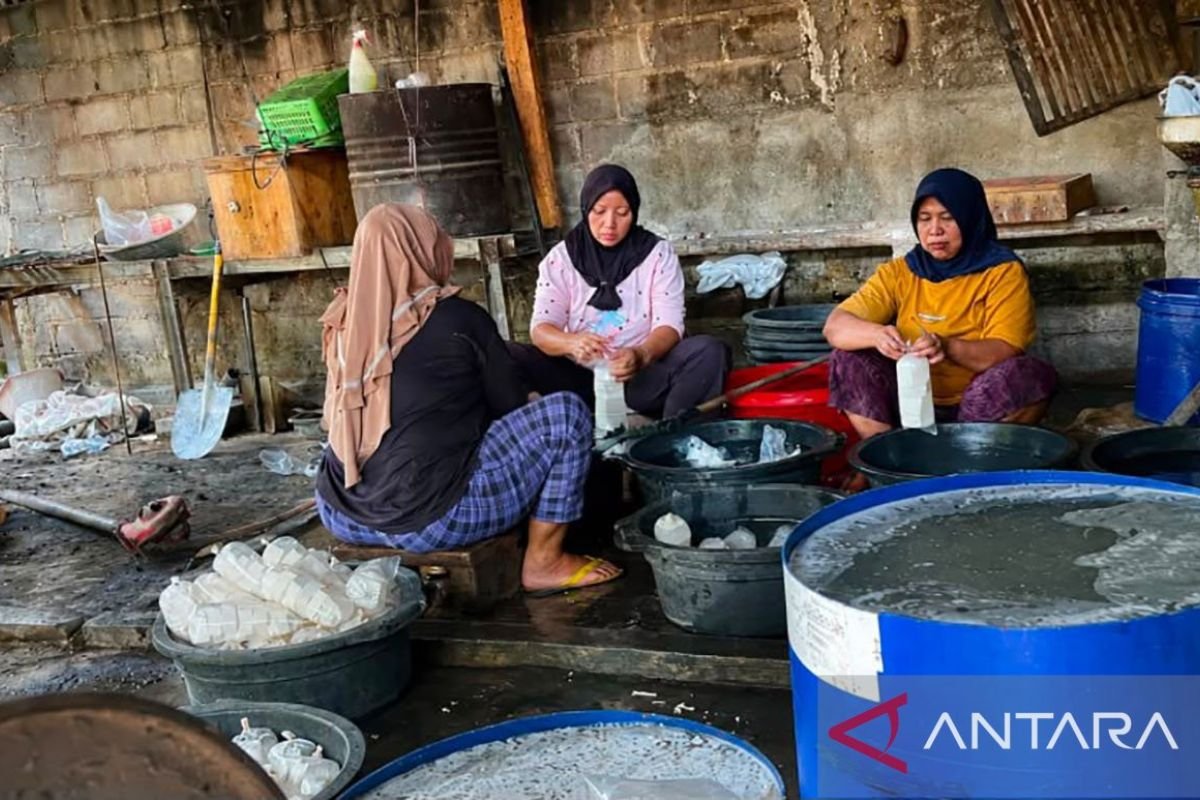 Perlindungan Ragi Tempe sebagai Aset Kedaulatan Biologis Indonesia