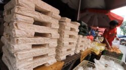 Potensi Tempe untuk Pasar Global