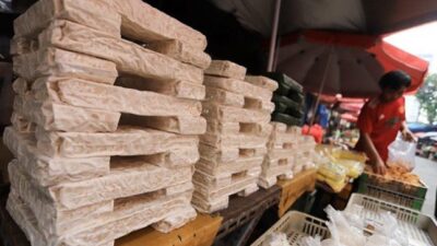 Potensi Tempe untuk Pasar Global