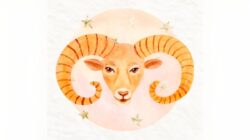 Perhatian Terhadap Kerja Keras Aries di Tempat Kerja Perhatian Terhadap Kerja Keras Aries di Tempat Kerja