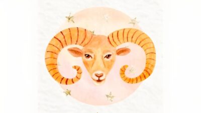 Perhatian Terhadap Kerja Keras Aries di Tempat Kerja Perhatian Terhadap Kerja Keras Aries di Tempat Kerja
