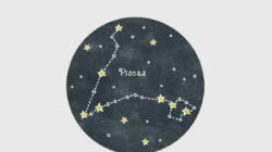 Peluang Karier Pisces di September 2026 Peluang Karier Pisces di September 2026