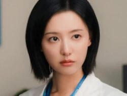 Perjalanan Karir Kim Ji Won dalam Drama Korea
