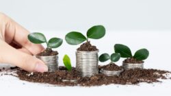 Inisiatif LPS untuk Menarik Investasi BPR dan BPRS