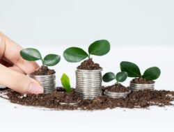 Inisiatif LPS untuk Menarik Investasi BPR dan BPRS