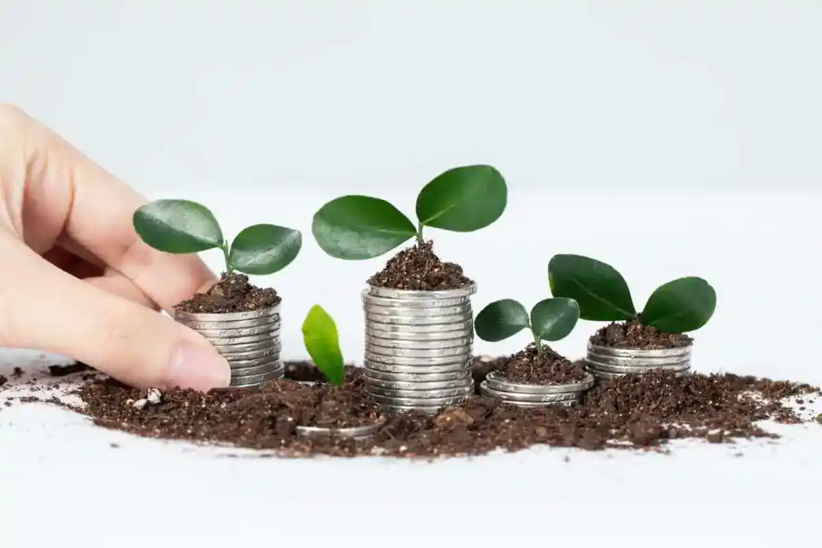 Inisiatif LPS untuk Menarik Investasi BPR dan BPRS