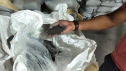 Perkembangan Perdagangan Timah di JFX Agustus 2026