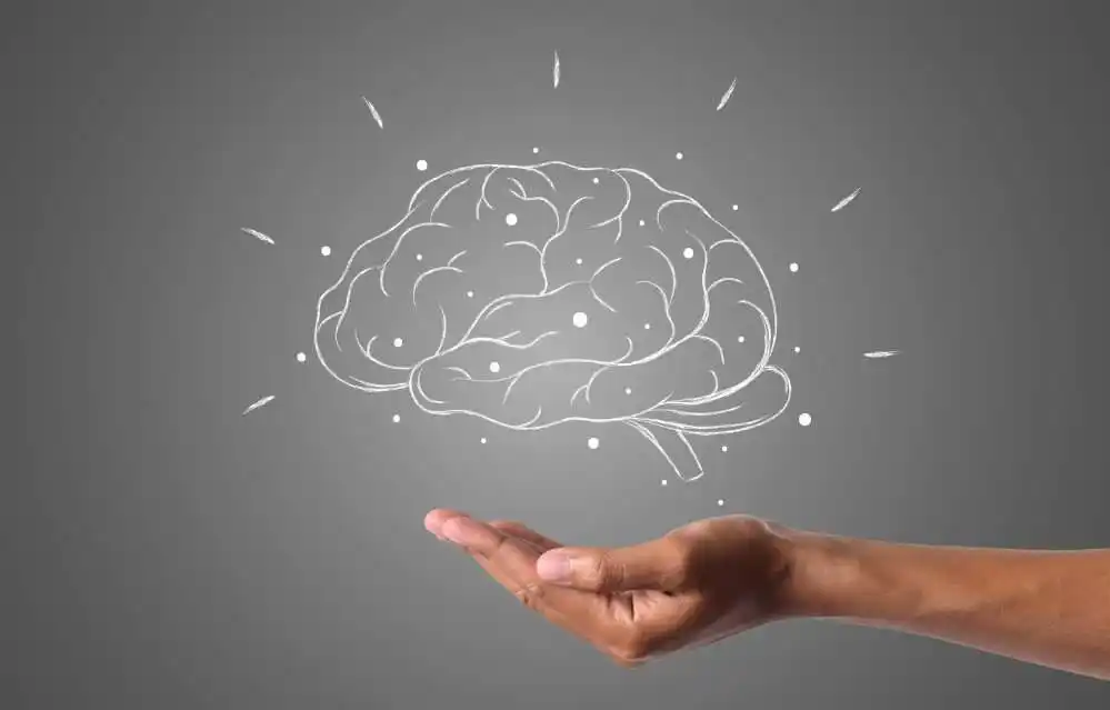 Mencukupi Kebutuhan DHA untuk Optimalisasi Fungsi Otak Anak Usia Sekolah