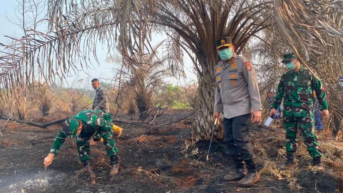 Pencegahan Kebakaran Hutan dan Lahan di Riau