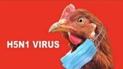 Status Darurat Kesehatan di Uruguay Akibat Wabah Flu Burung