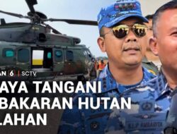 Upaya Menanggulangi Kebakaran Hutan dan Lahan di Kalimantan