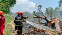 Upaya Pemkot Pangkalpinang Cegah Karhutla melalui Pembentukan Satgas