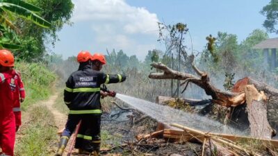 Upaya Pemkot Pangkalpinang Cegah Karhutla melalui Pembentukan Satgas