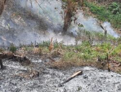 Kebakaran Hutan Dekat TPA Sarimukti: Penyebab dan Upaya Pemadaman