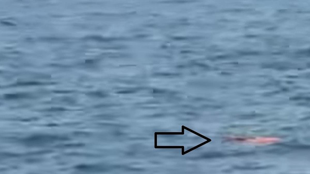 Operasi Pencarian Jurnalis yang Hilang Kontak di Selat Sunda