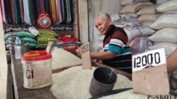 Faktor Penyebab Kenaikan Harga Bahan Pokok di Indonesia