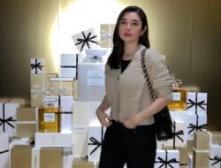 Siapa Amanda Rigby? Mengungkap Jejak Karier dan Kehidupannya