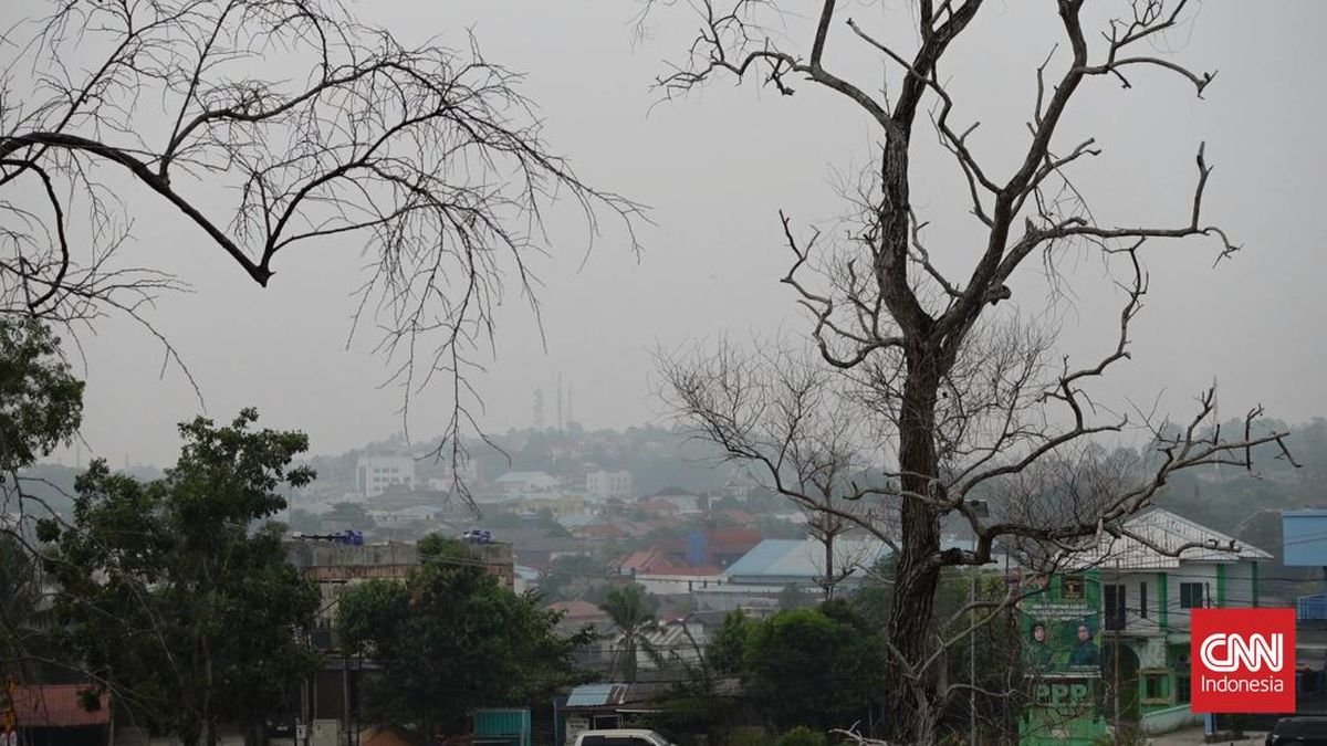 Tingginya Kasus ISPA di Kalimantan dan Kontroversi Pembagian Masker