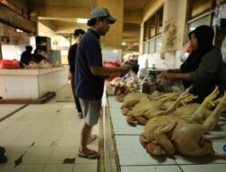 Waspada Kenaikan Harga: Tiga Komoditas Pangan Sorotan Utama