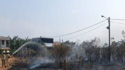 Kebakaran Lahan Mengancam Wilayah Jakarta Utara
